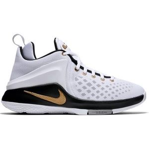 Nike Lebron Nike Zoom Witness